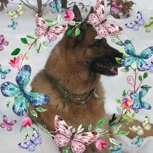 Meet your Posher, Jenny